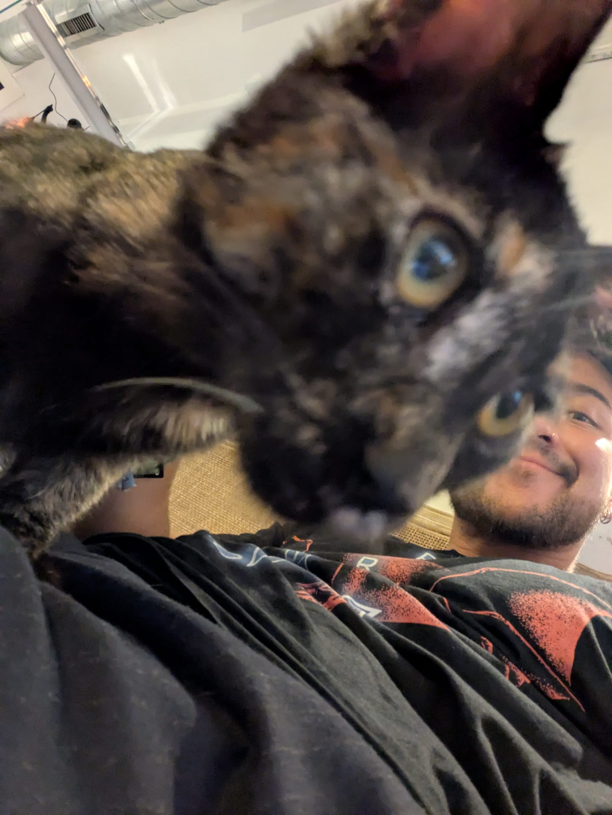 Chakra's vol kattenharen