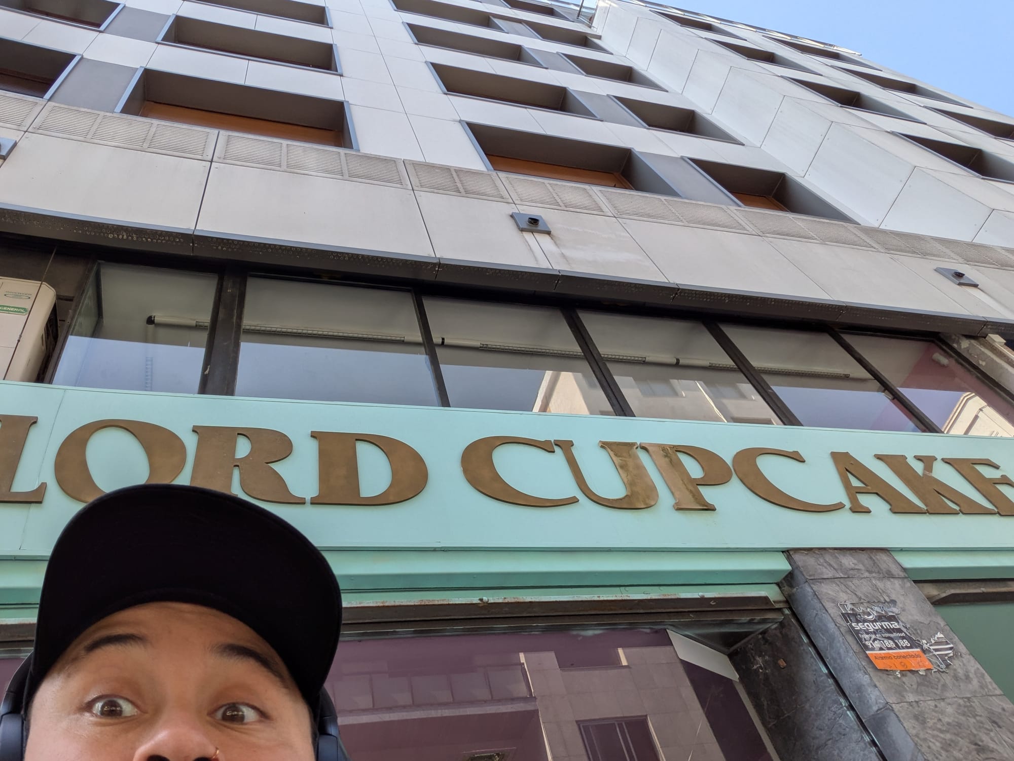 Chakra's vol kattenharen