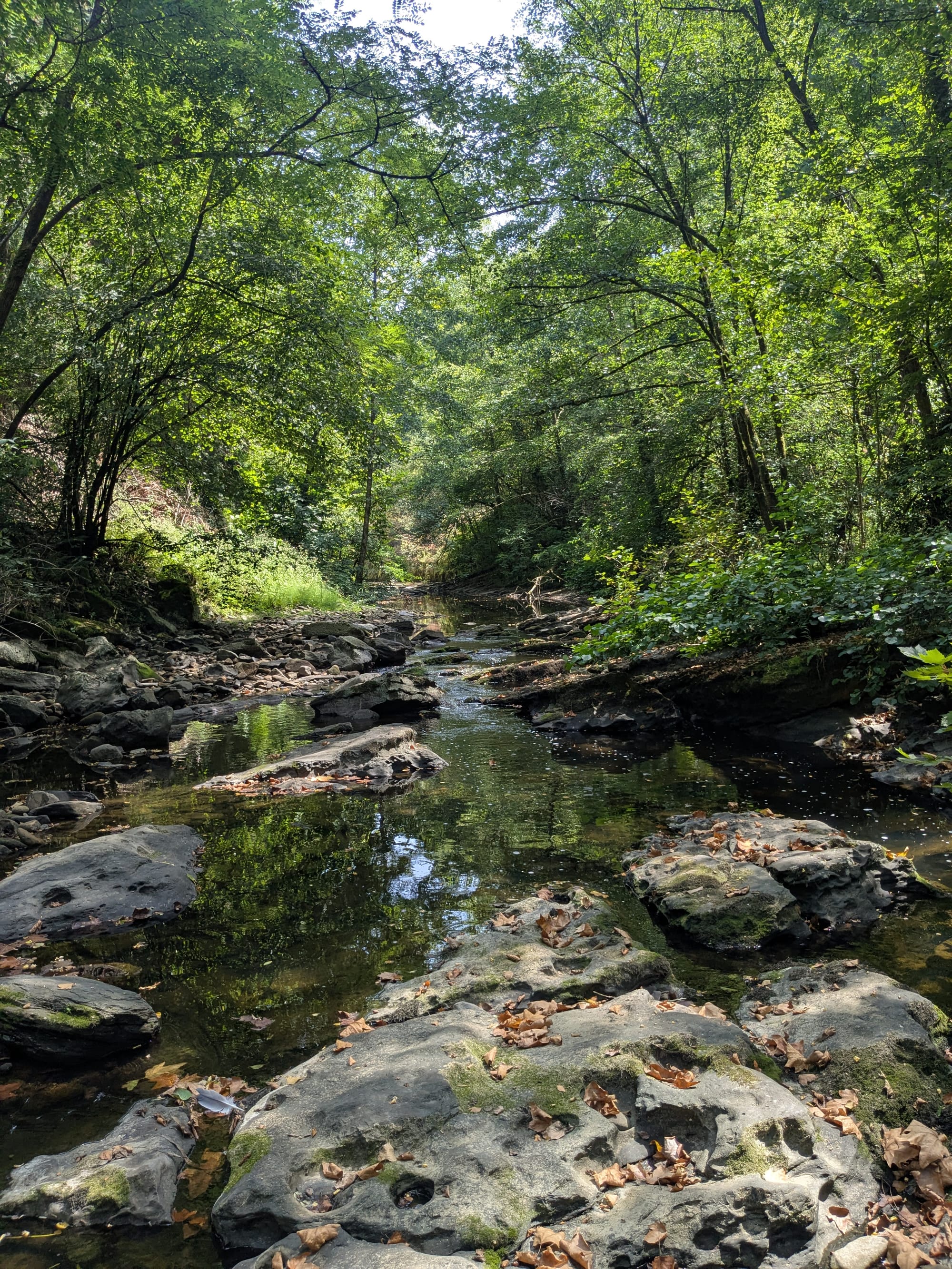 Een halve dag is het hele werk.