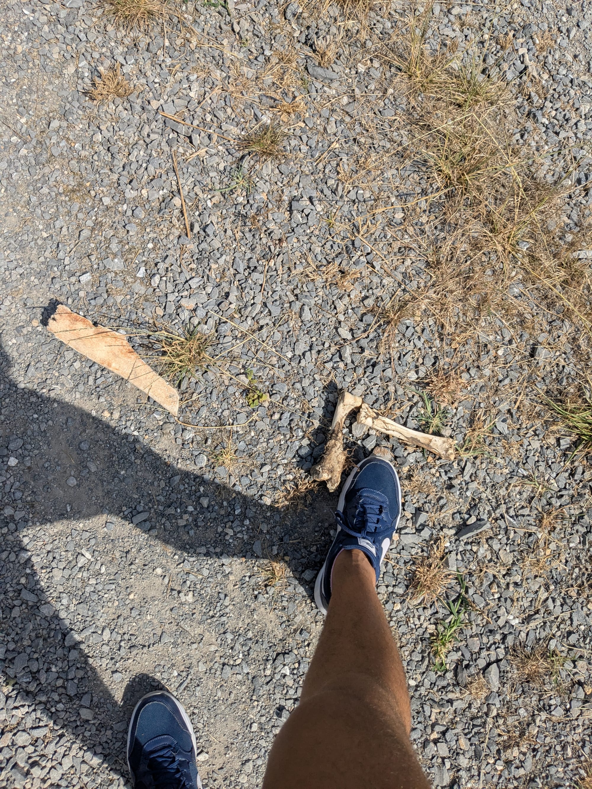 Dagje strand in het water