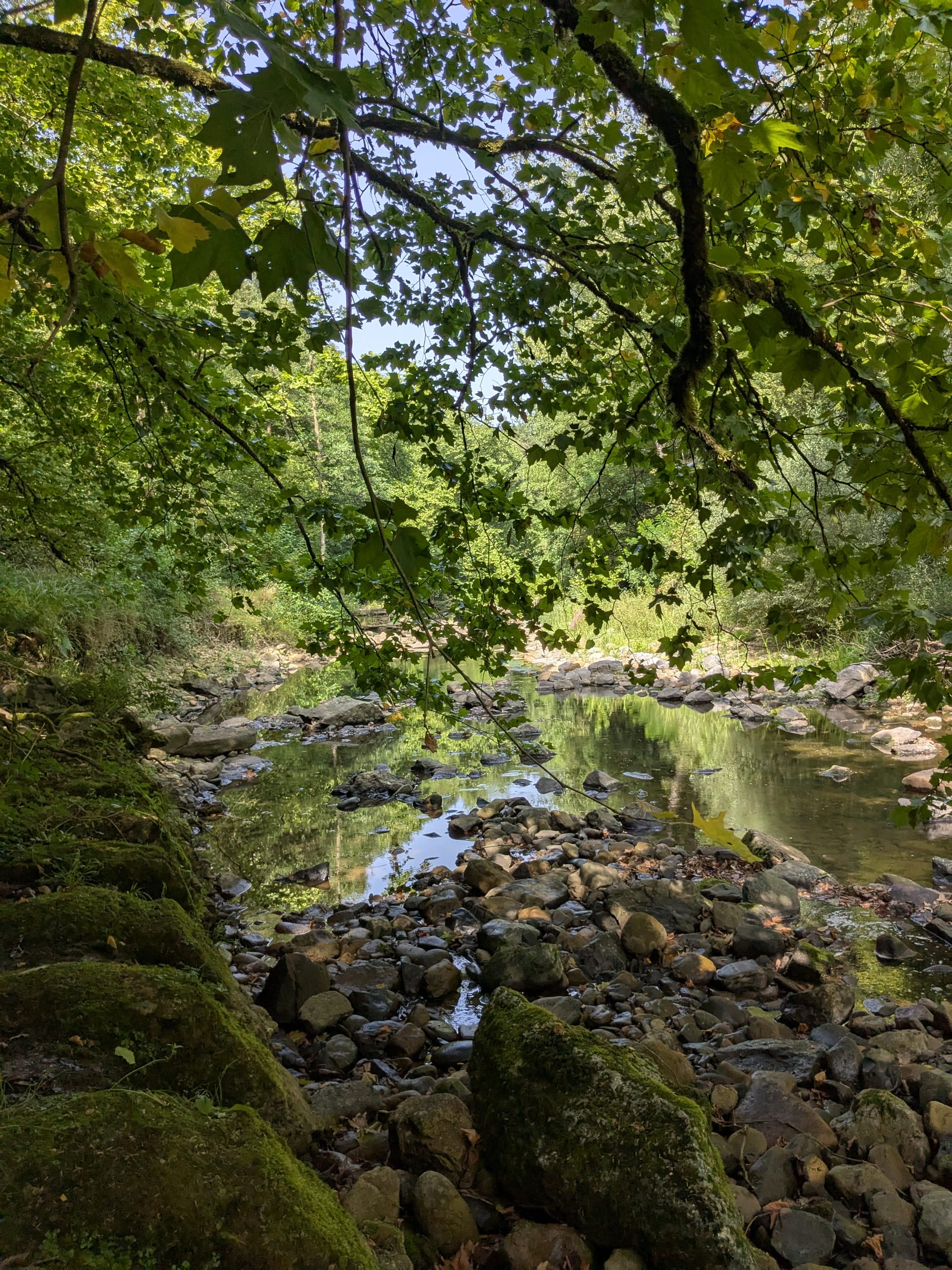 Dagje strand in het water
