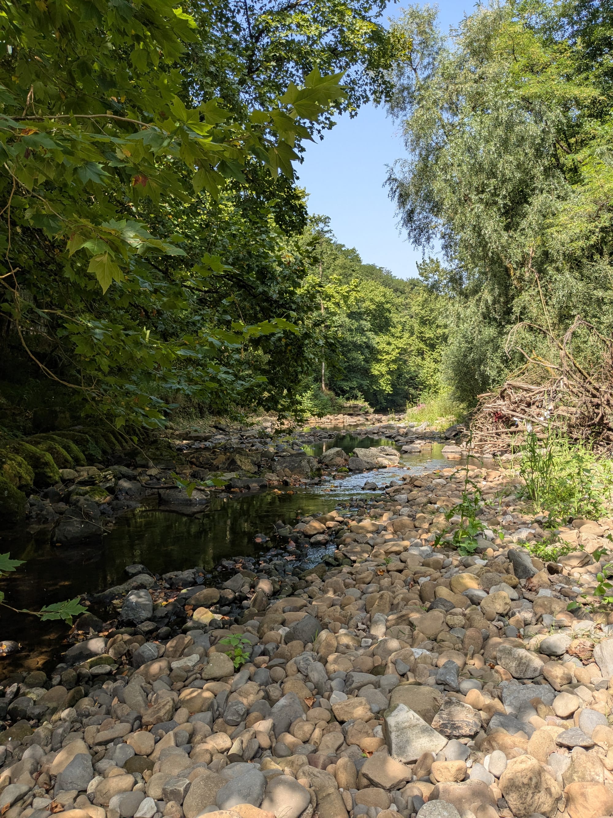Dagje strand in het water