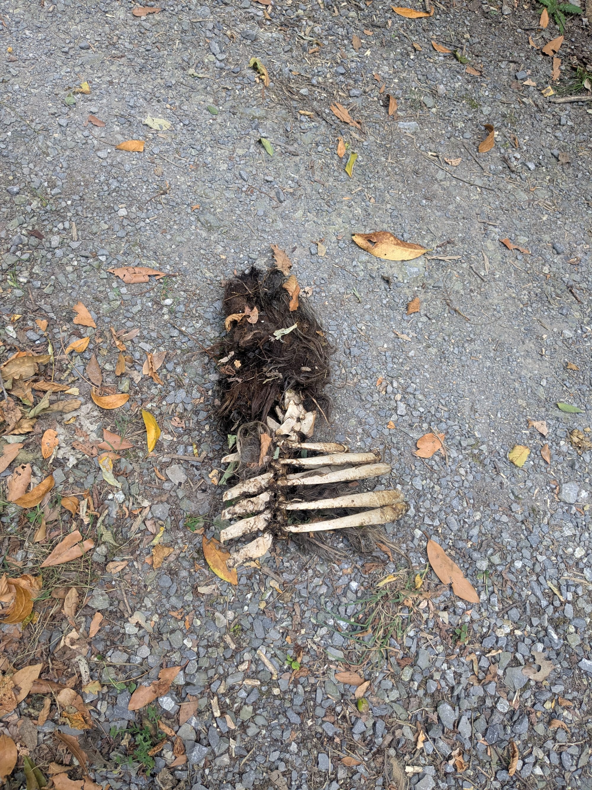 Dagje strand in het water