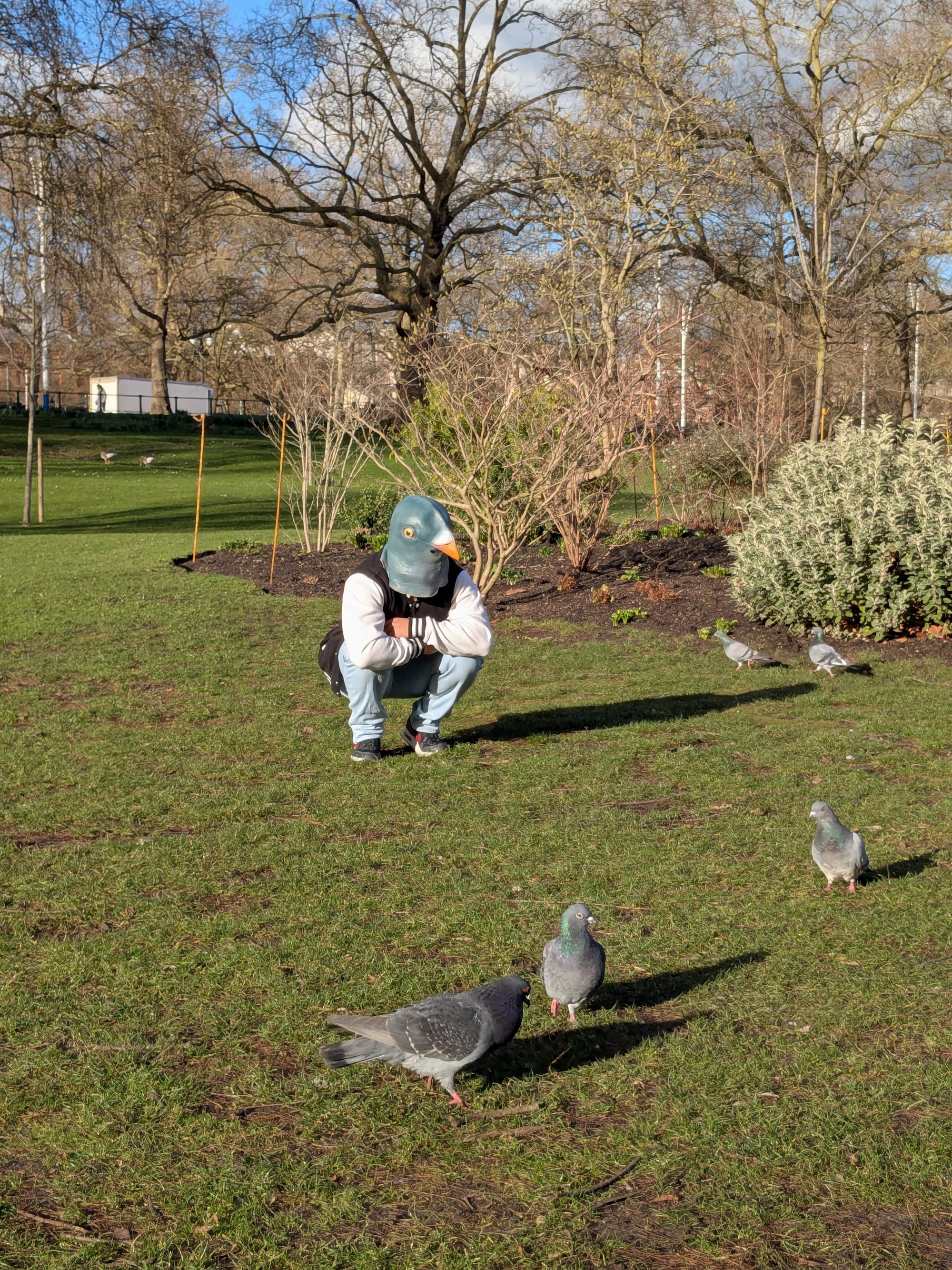 Bewegen door de mist