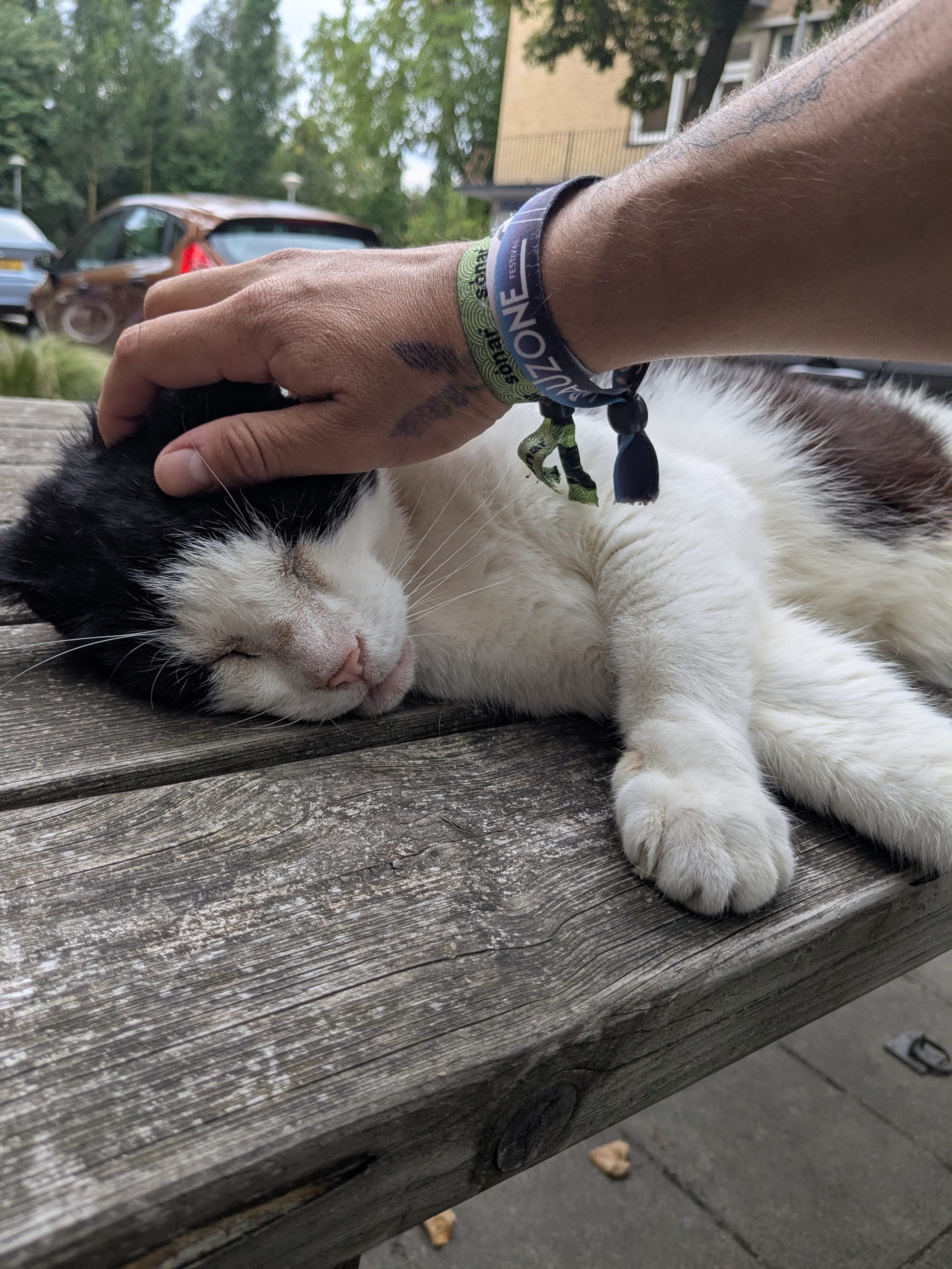 Bewegen door de mist