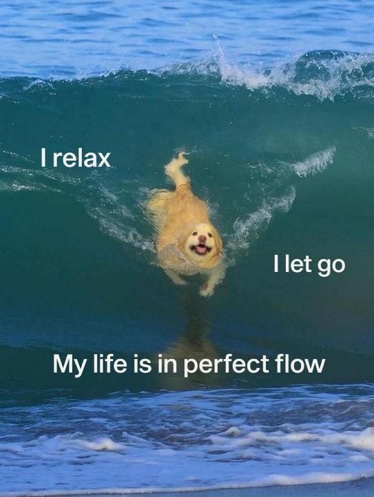 Bewegen door de mist