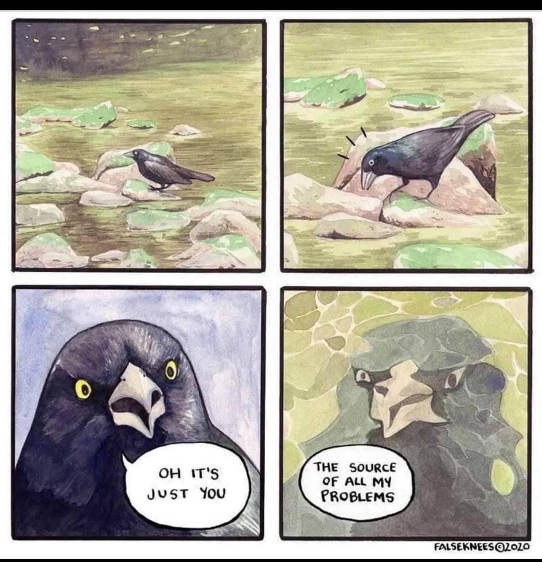 Bewegen door de mist