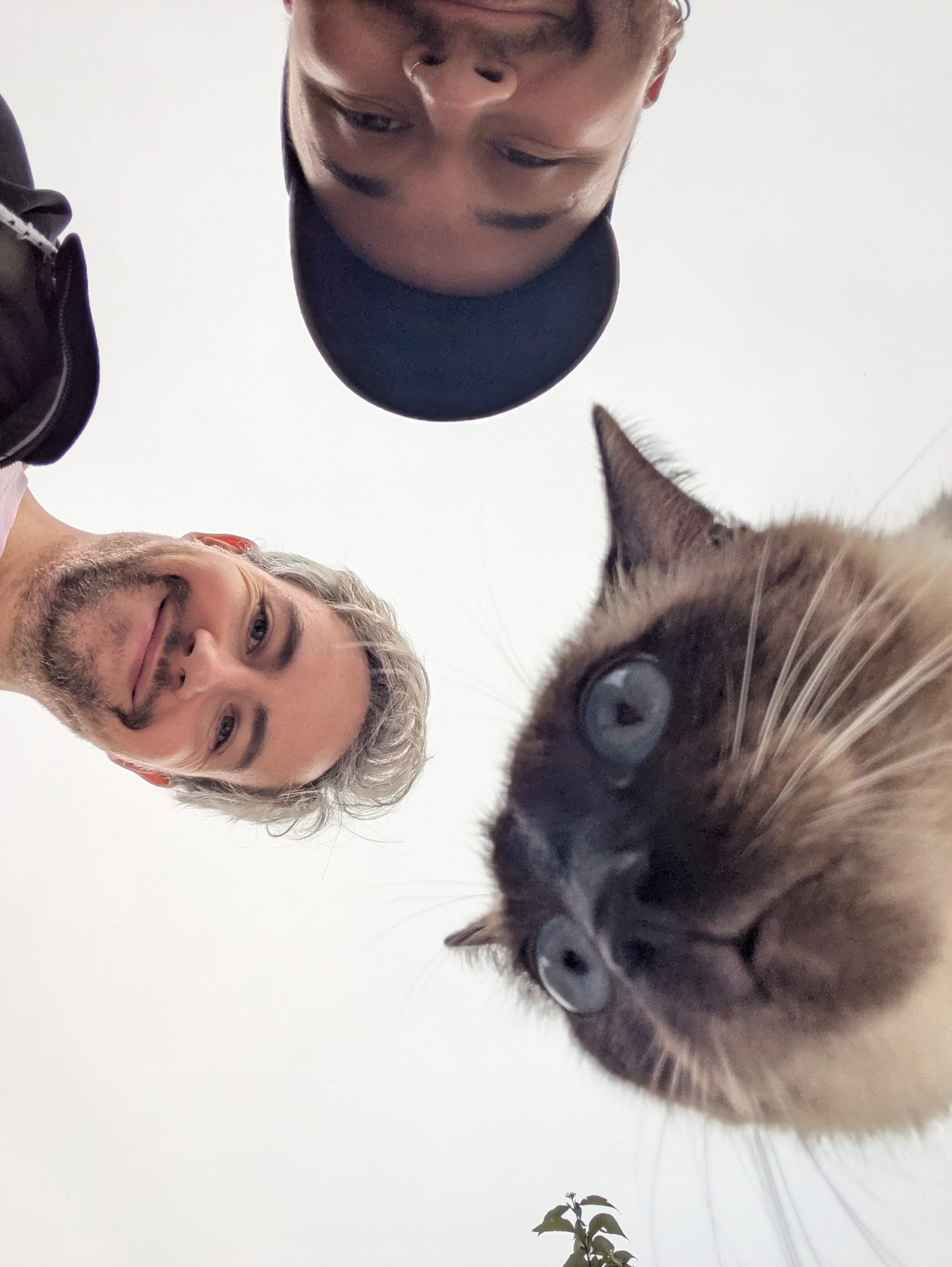 Door de LSD naar BoZ