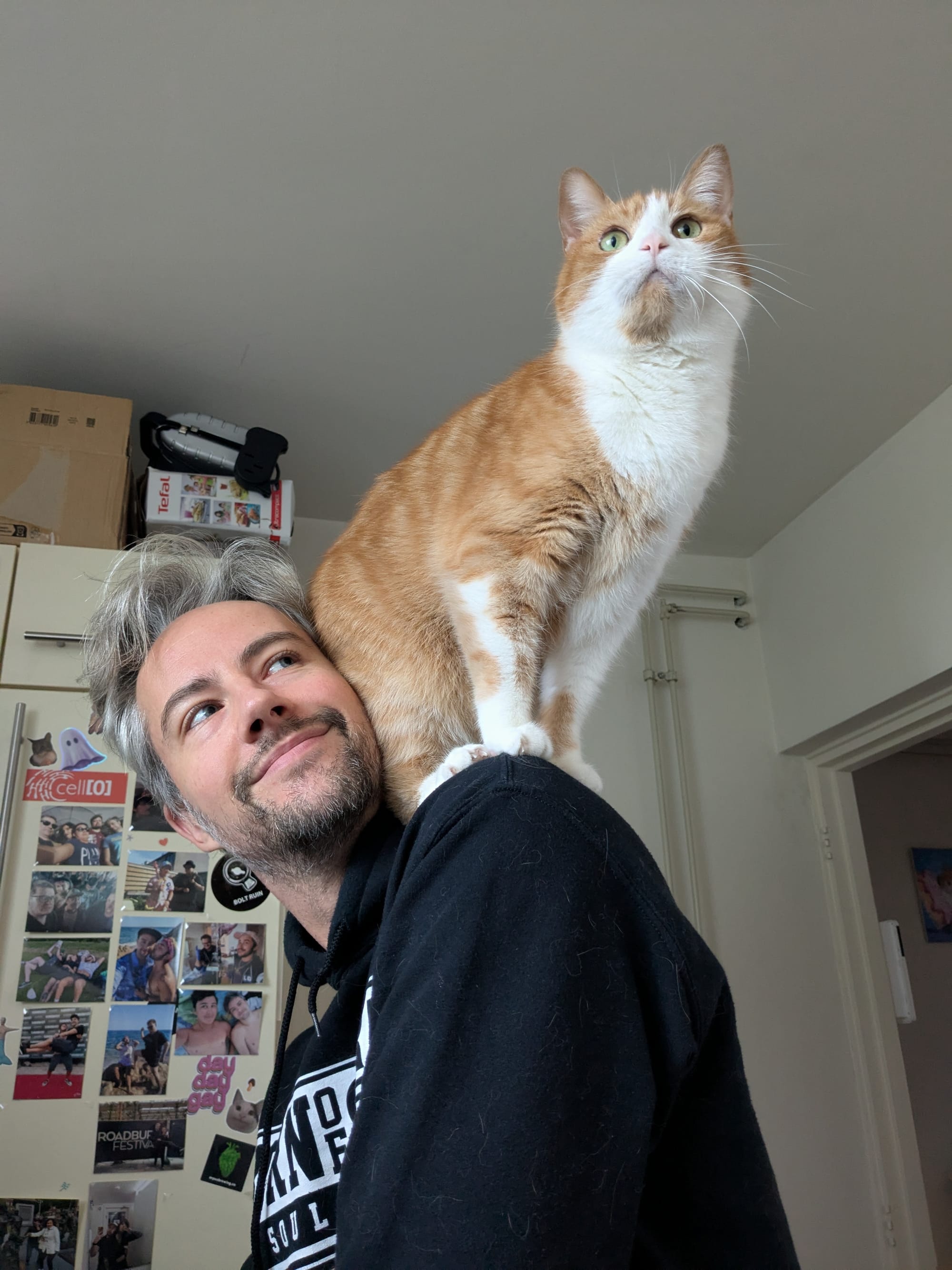 Door de LSD naar BoZ