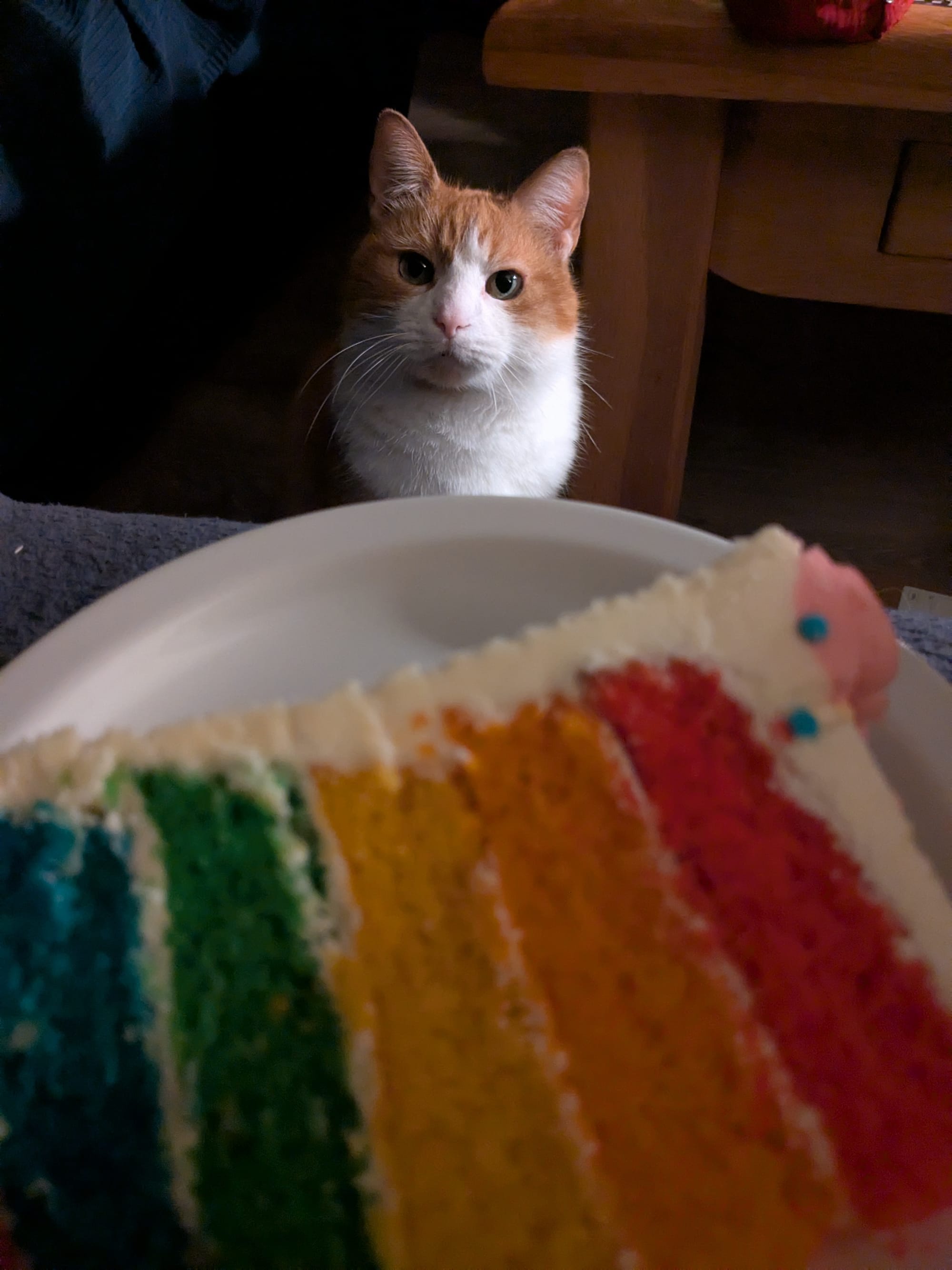 Door de LSD naar BoZ