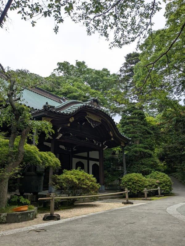 Verkeerde halte, goede dag.